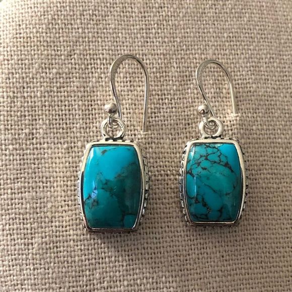 BARSE Turquoise Sterling Silver Rope Braid Framed Drop Earrings - Picture 6 of 7